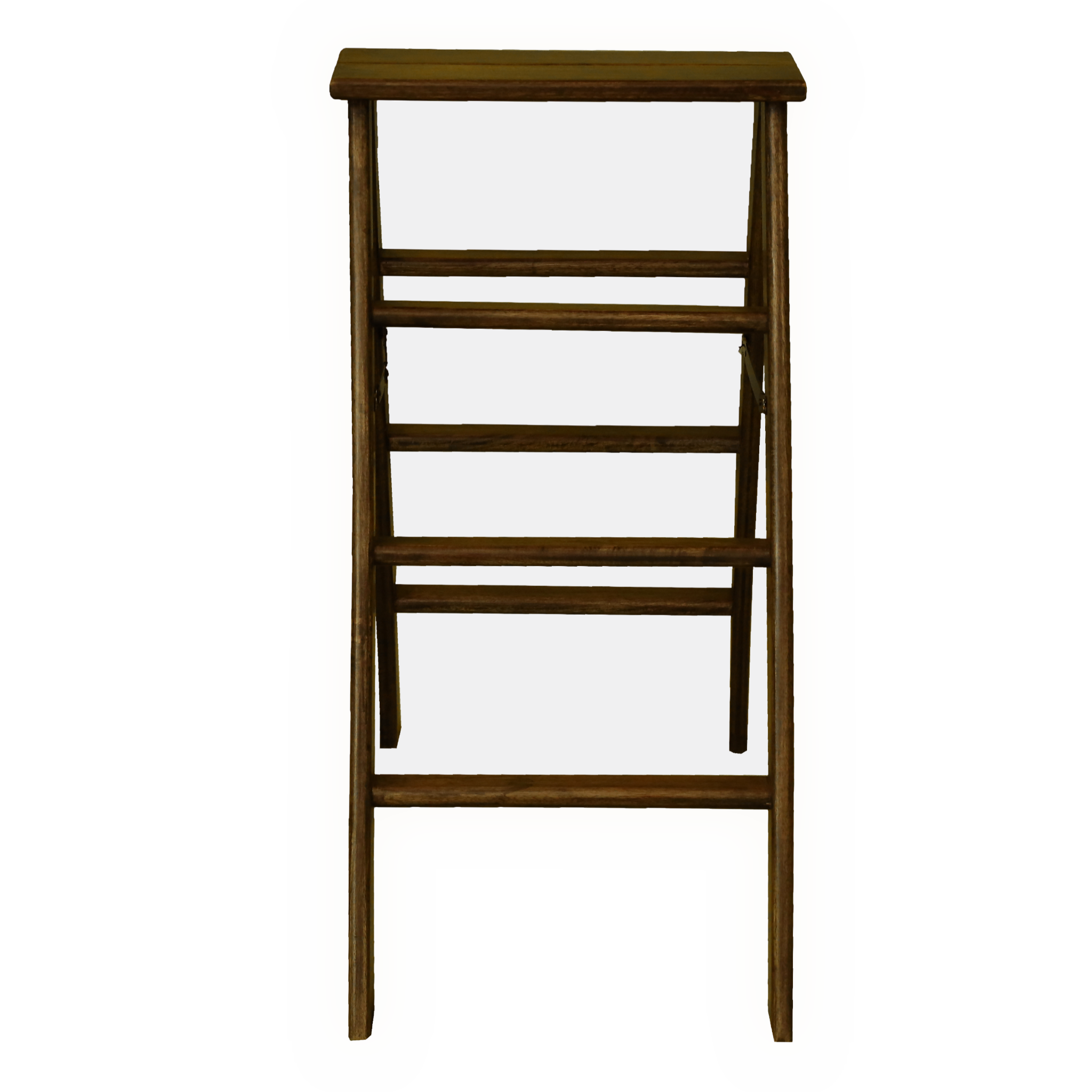 LADDER (SMALL)